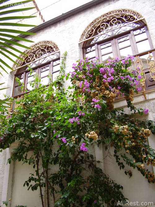 Palace Derossi Hotel 2
